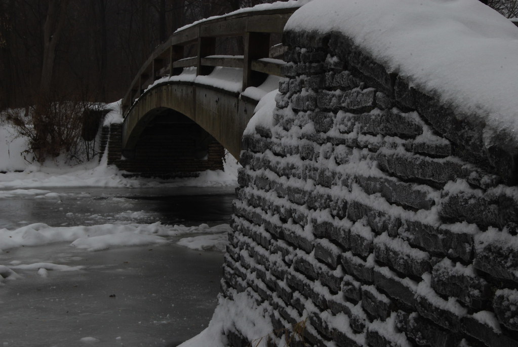 Naperville Winter 12