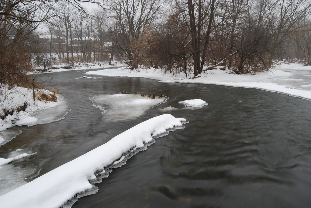 Naperville Winter 09
