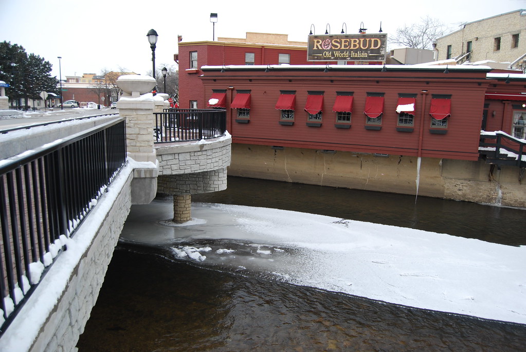 Naperville Rosebud on DuPage River 015