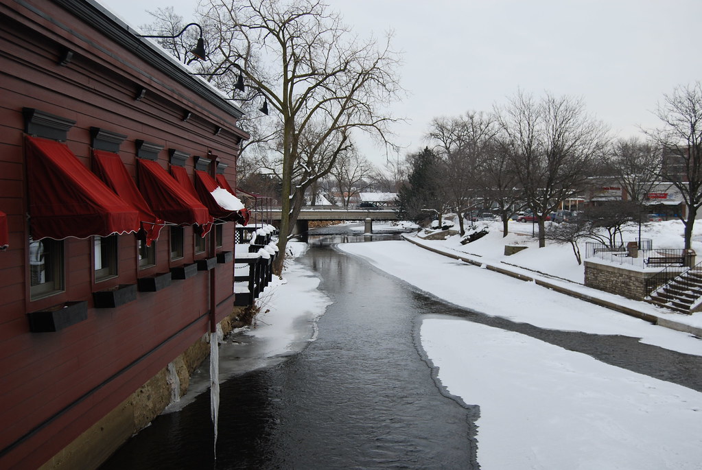 Naperville Rosebud on DuPage River 018