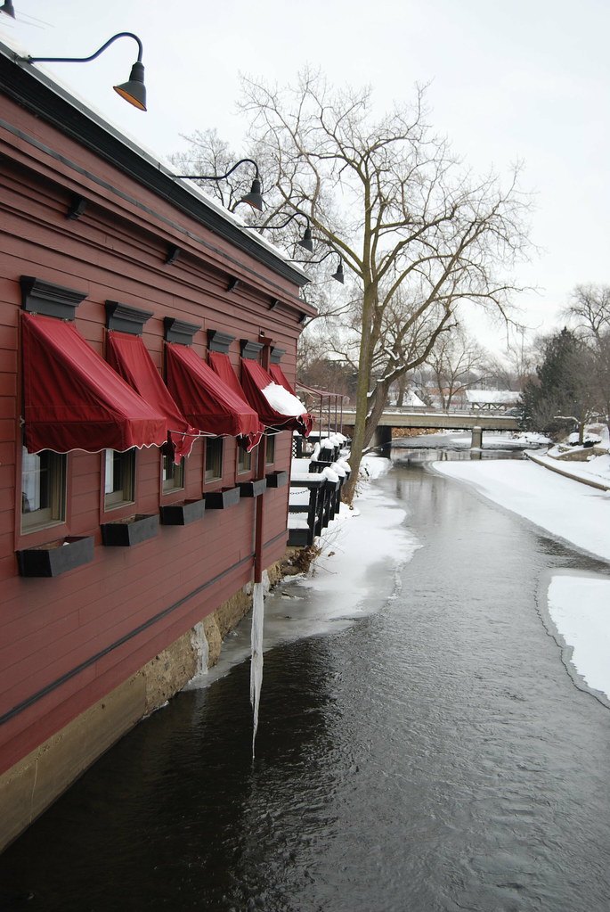 Naperville Rosebud on DuPage River 019