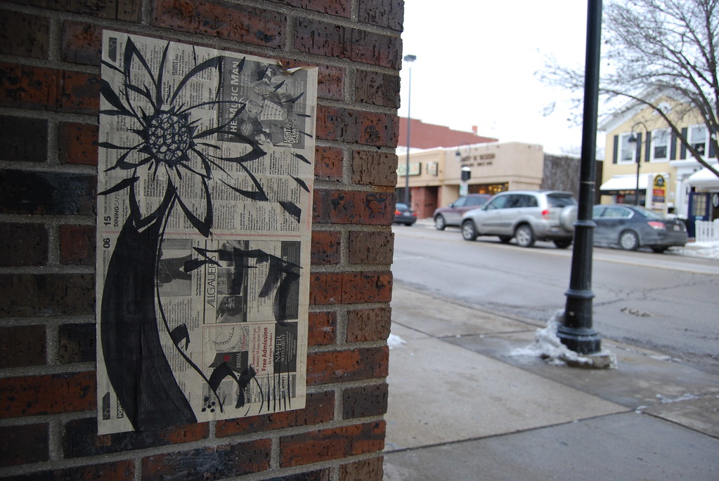 Naperville Decoupage Flower Graffiti 037