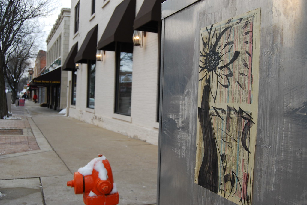 Naperville Decoupage Flower Graffiti 045