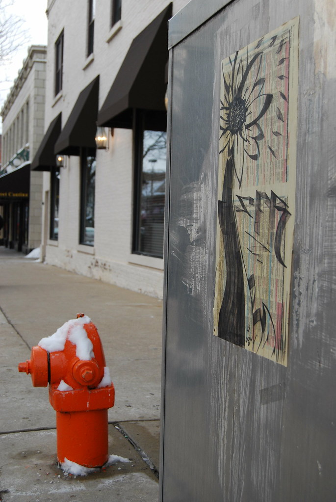 Naperville Decoupage Flower Graffiti 046