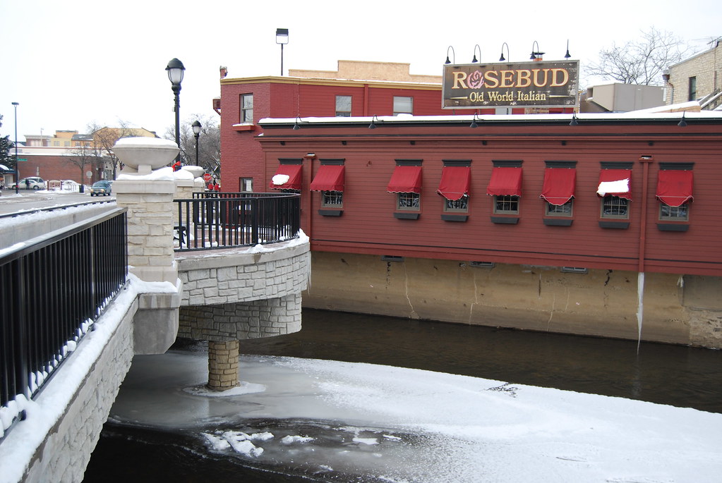 Naperville Rosebud on DuPage River 016