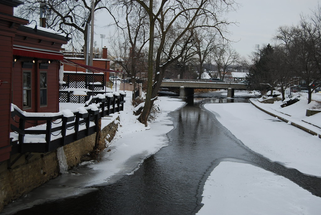 Naperville Rosebud on DNaperville RosebuduPage River 017