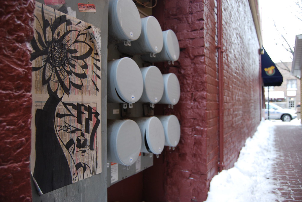 Naperville Decoupage Flower Graffiti 028