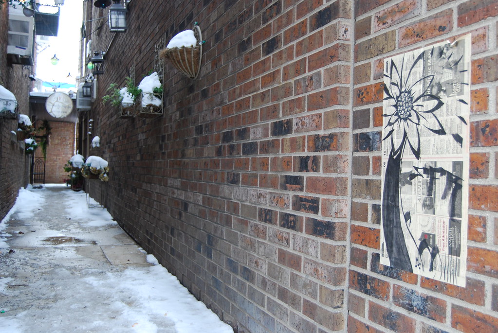 Naperville Decoupage Flower Graffiti 039