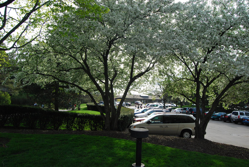 Naperville Riverwalk 033