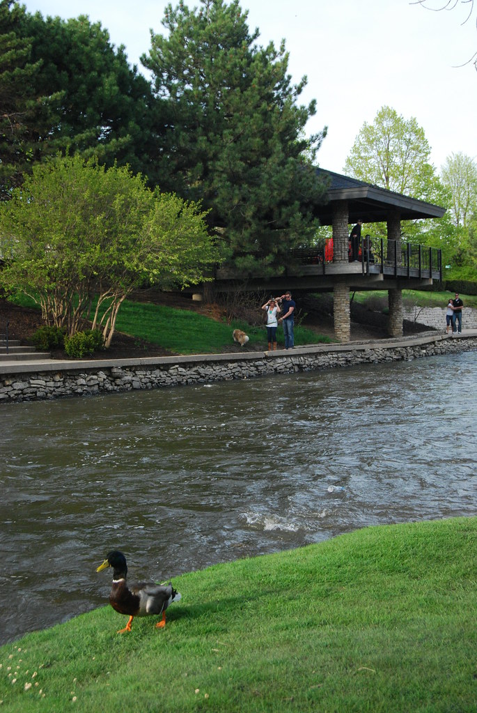 Naperville Riverwalk 079