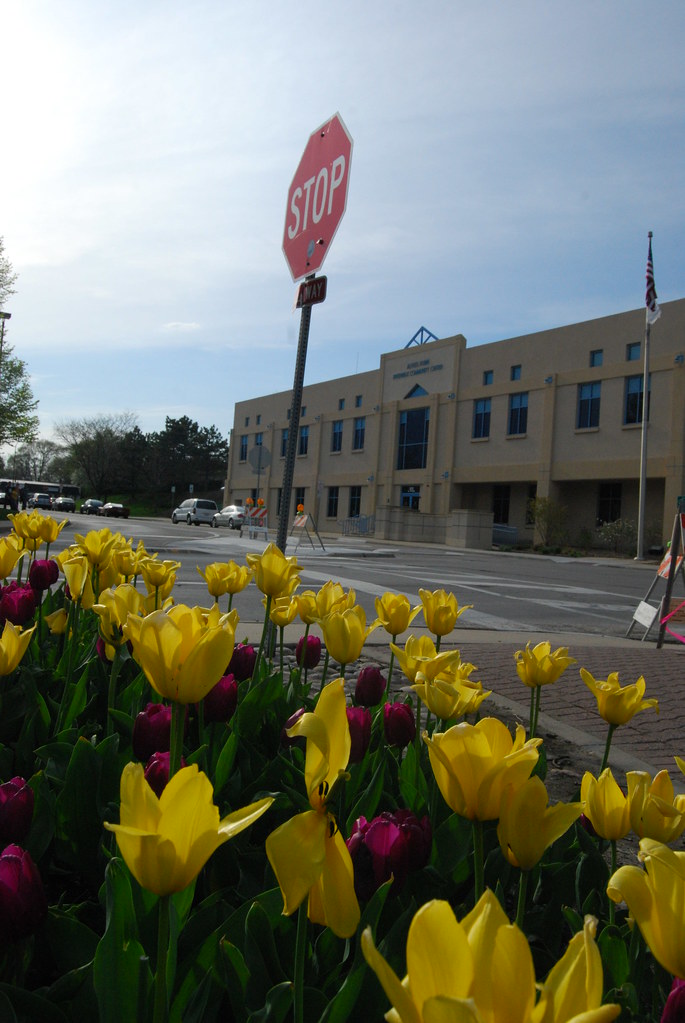 Naperville Riverwalk 030