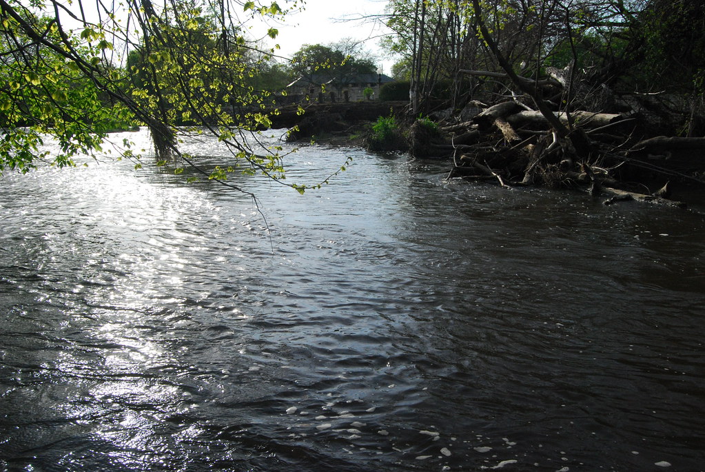 Naperville Riverwalk 061