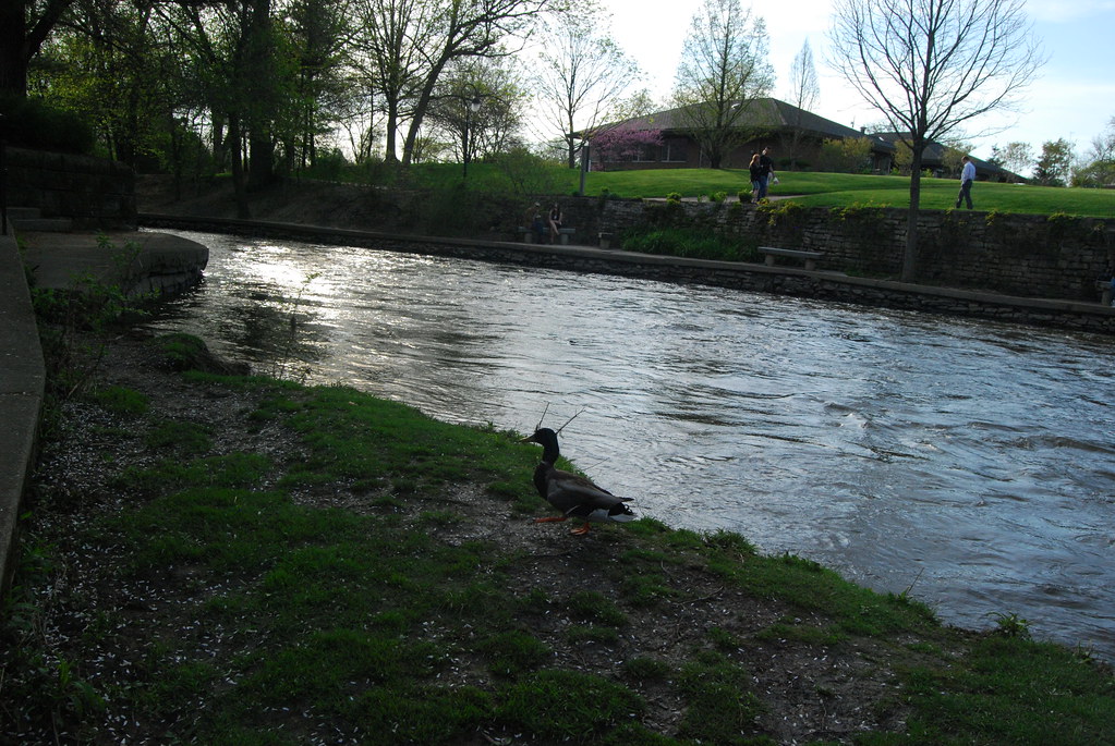 Naperville Riverwalk 080