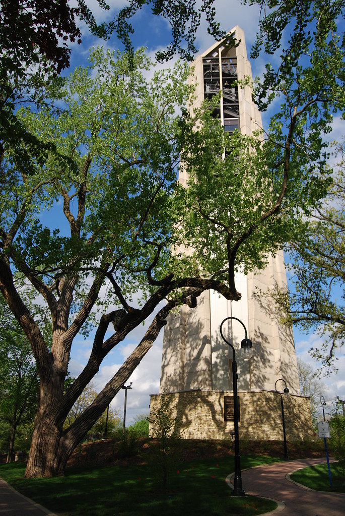 Moser Tower and Millennium Carillon 019