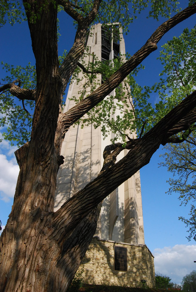 Moser Tower and Millennium Carillon 040