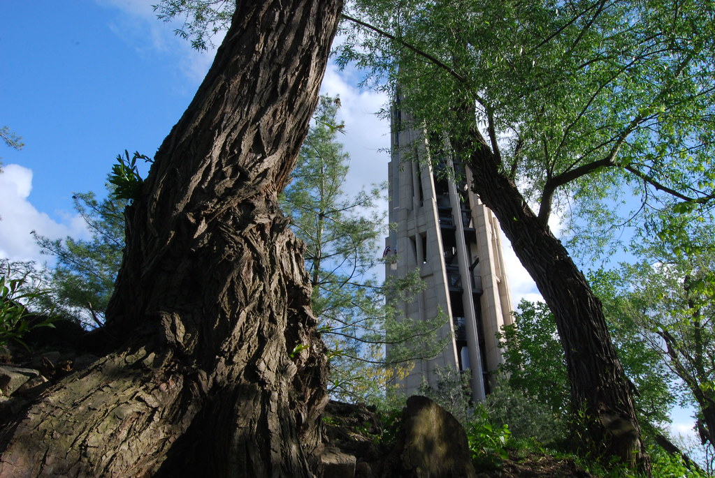 Moser Tower and Millennium Carillon 055