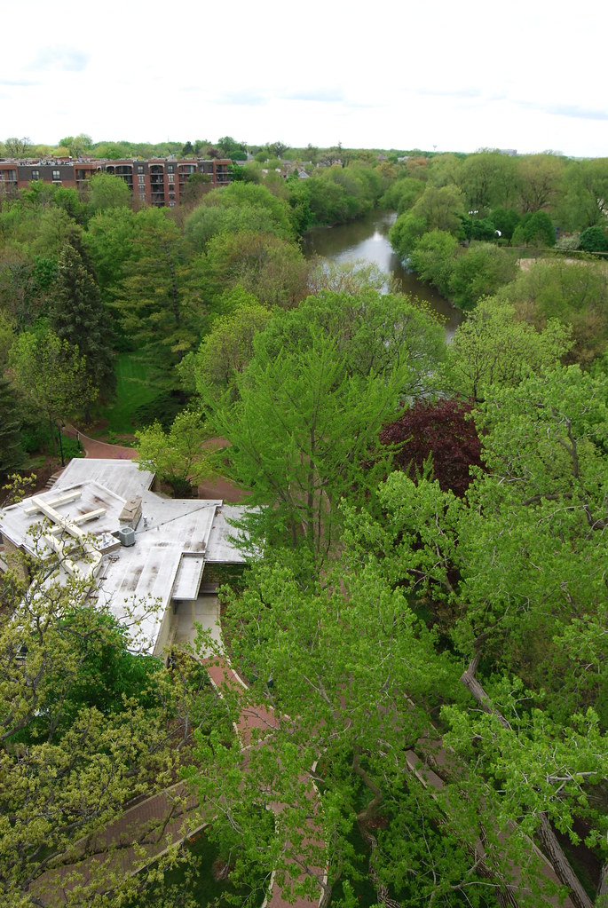 View from Moser Tower Naperville 027