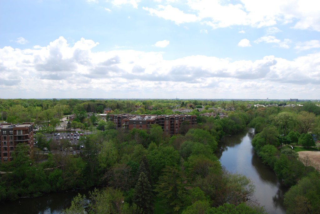 View from Moser Tower Naperville 049