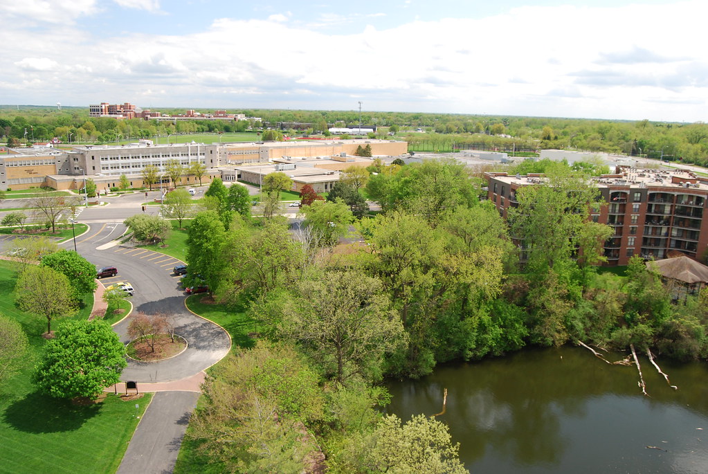 View from Moser Tower Naperville 056
