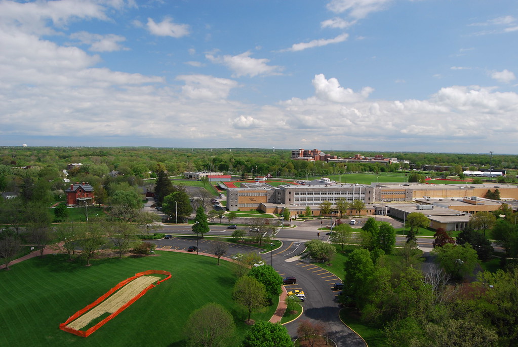 View From Moser Tower Naperville 075