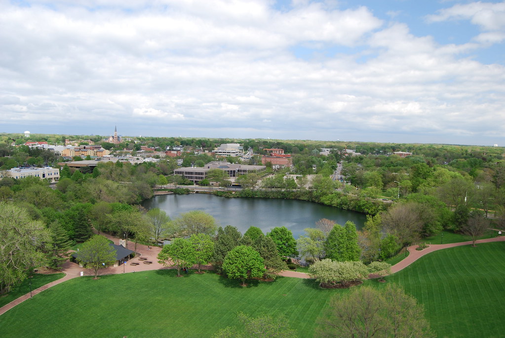 Veiw of Naperville From Moser Tower