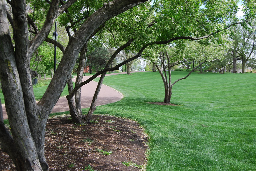 Moser Tower Naperville 152