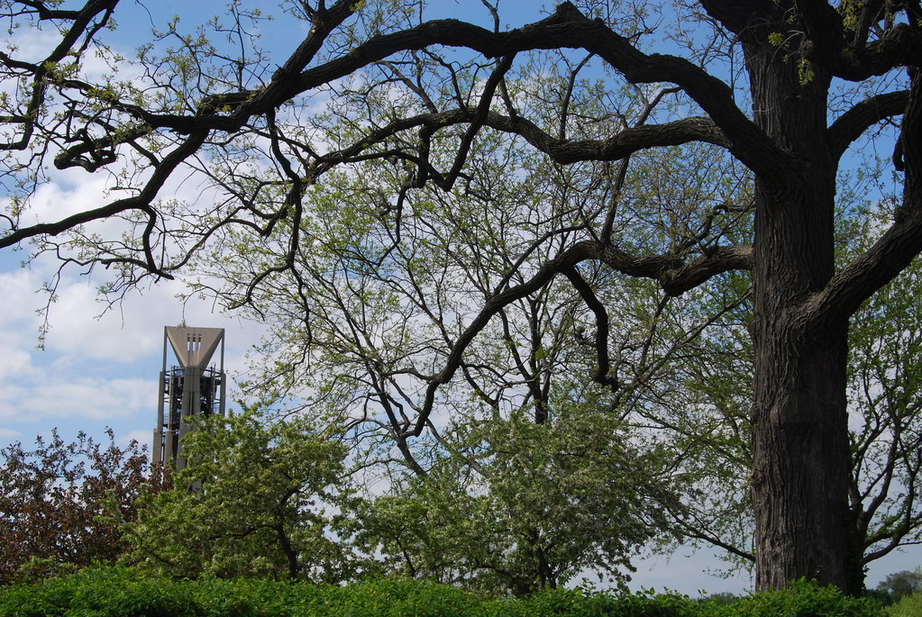 Naperville Moser Tower 010