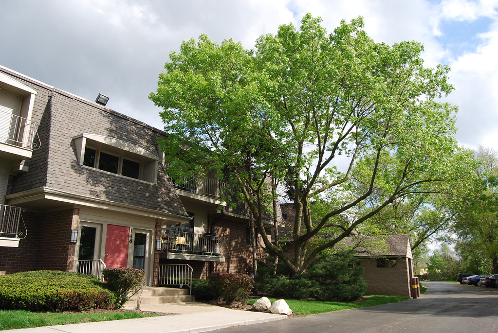 Olive Trees Condo Naperville 076