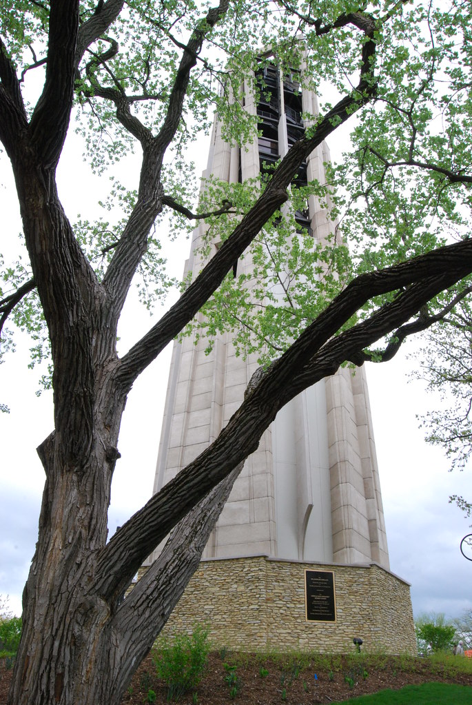 Moser Tower 039
