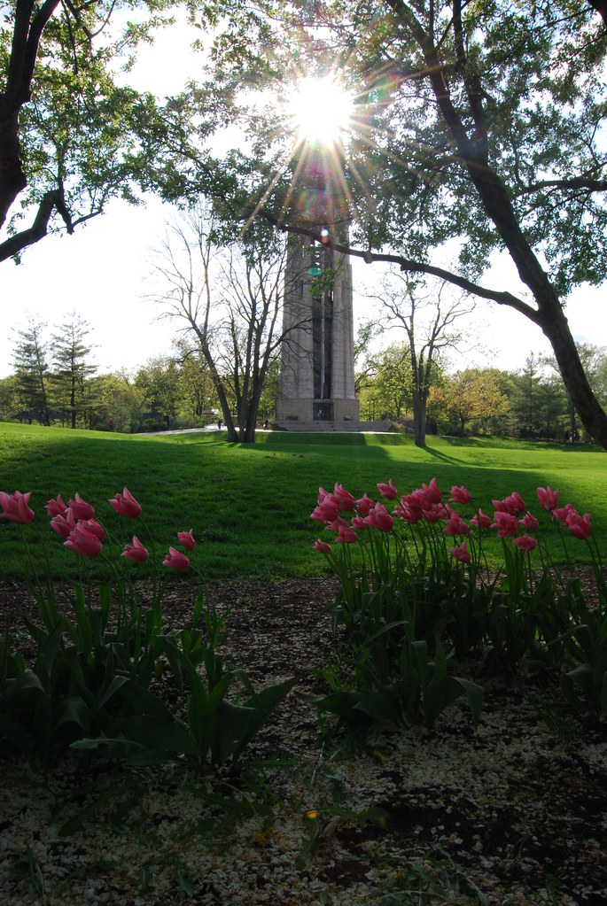 Moser Tower and Millennium Carillon 065