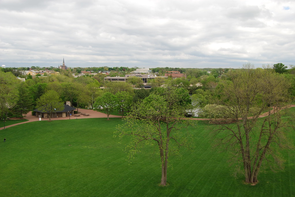 View from Moser Tower Naperville 018
