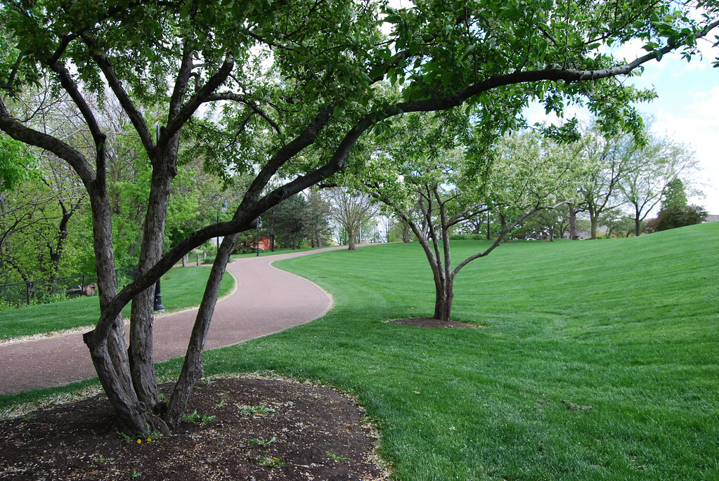 Moser Tower Naperville 153