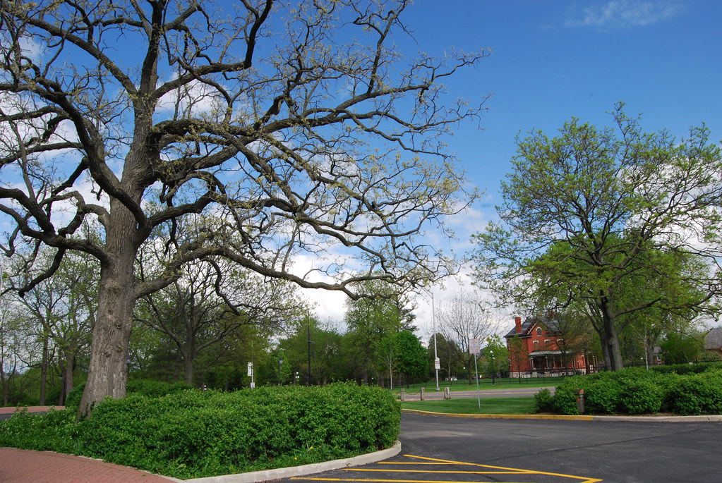 Naperville Moser Tower 008