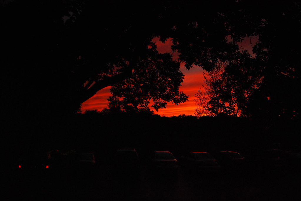 sunset 013