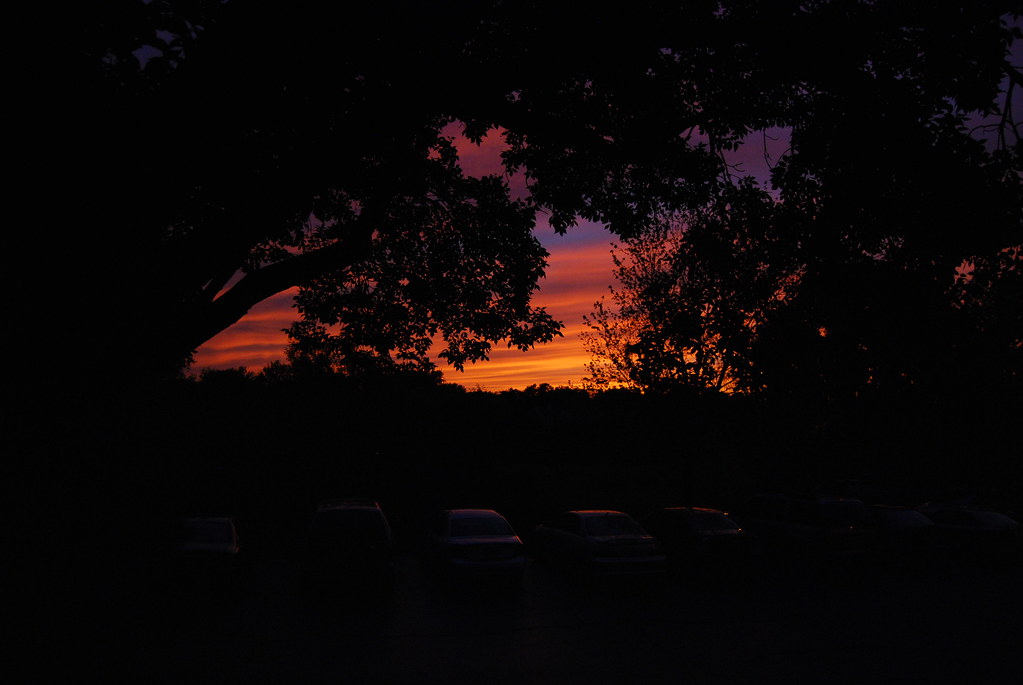 sunset 010