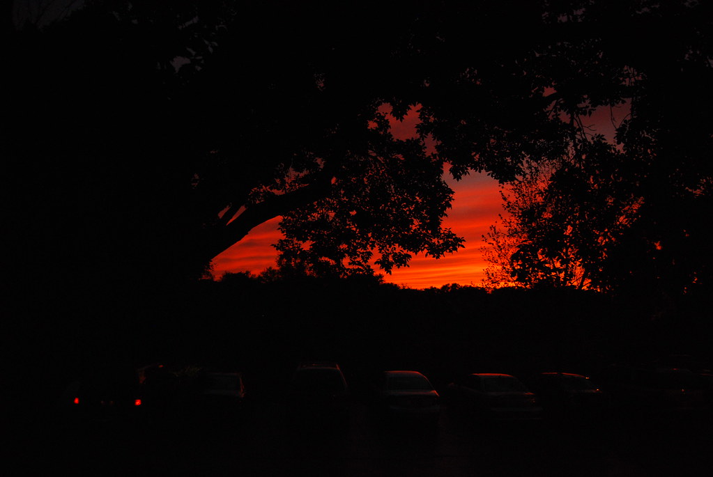 sunset 014