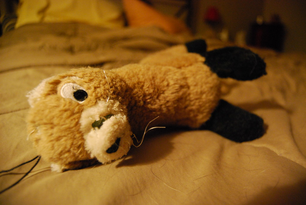 Ferret Dog Toy