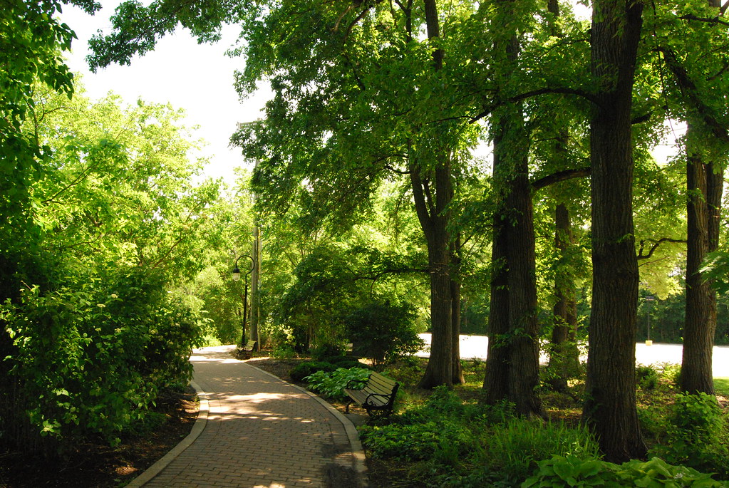 Naperville 080