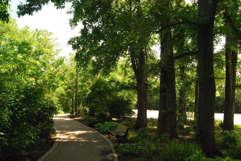 Naperville 081