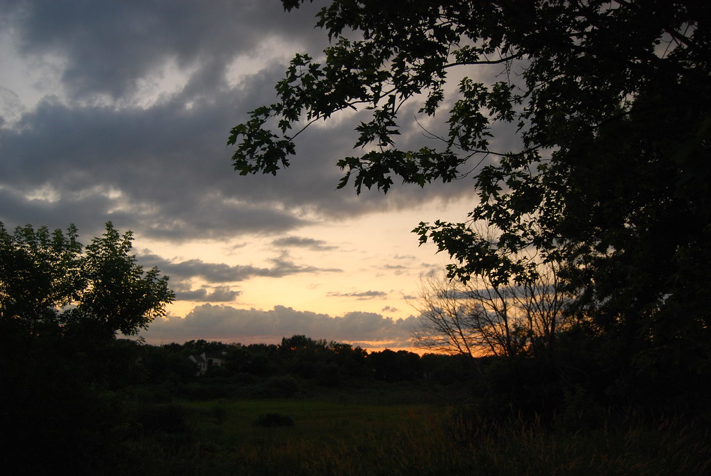 Sunset 020