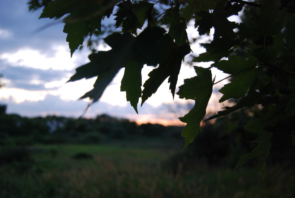 Sunset 026