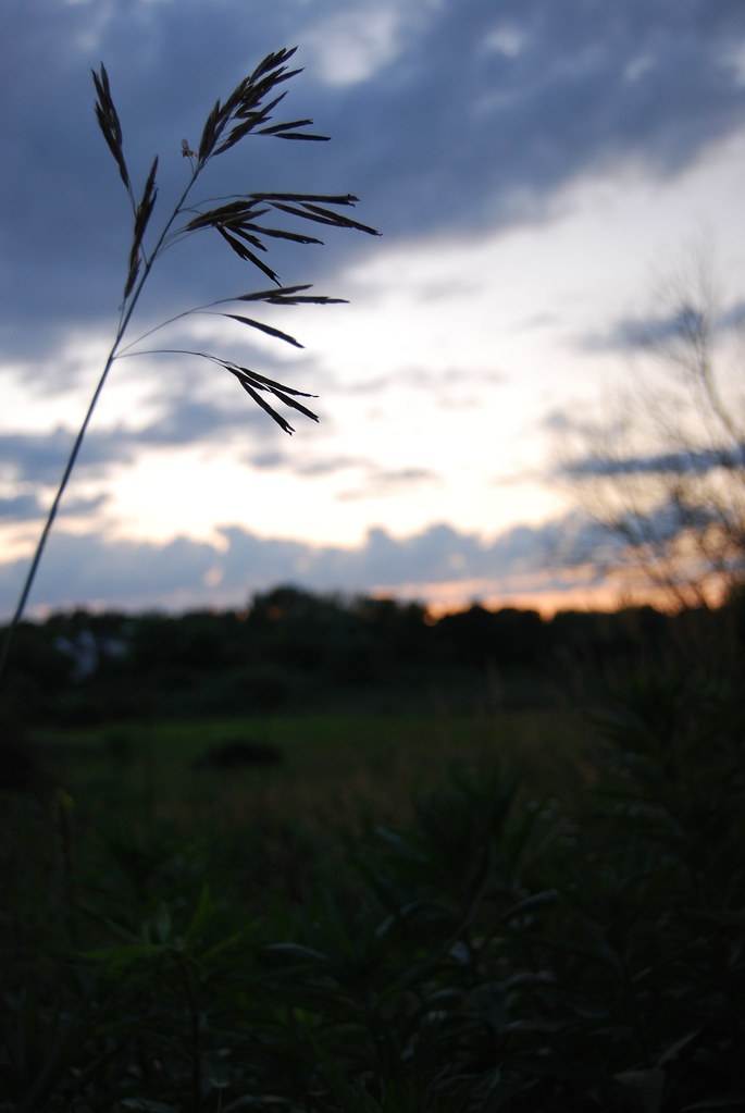 Sunset 024