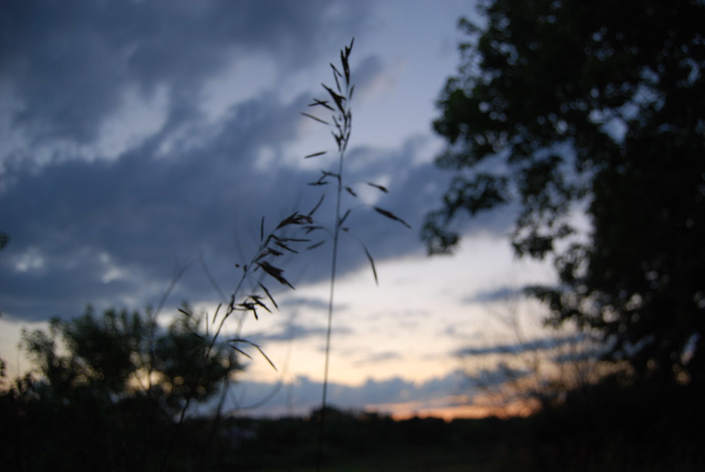 Sunset 022