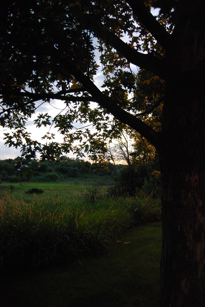 Sunset 036