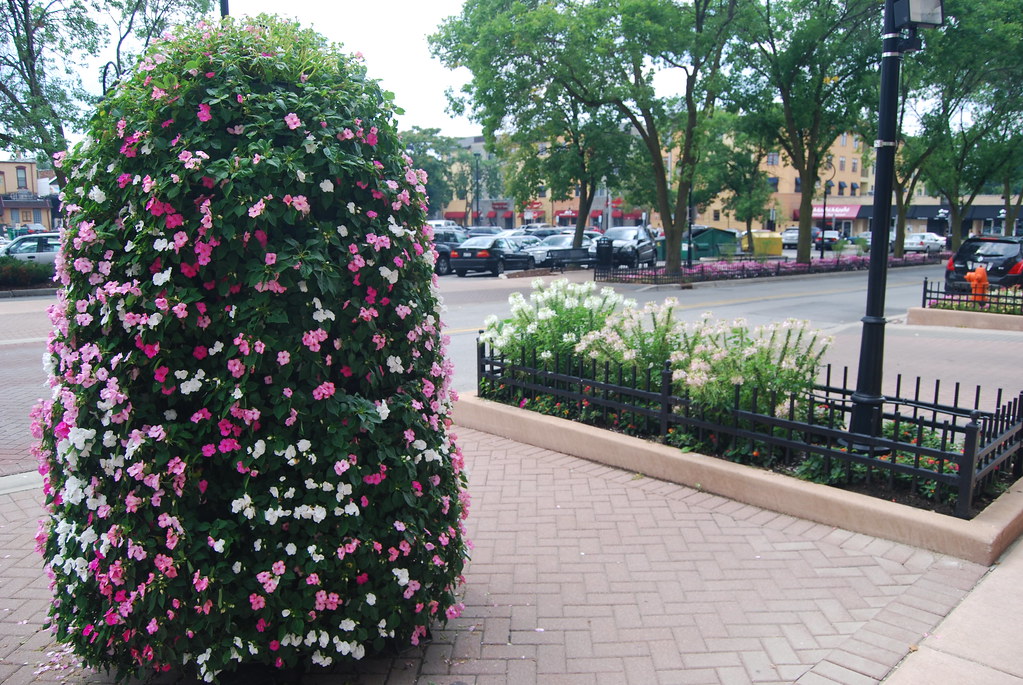 Naperville August 2009 039