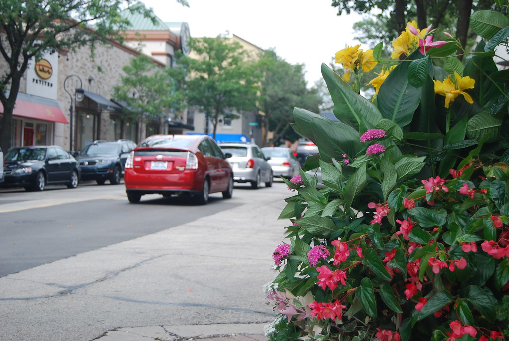 Naperville August 2009 068