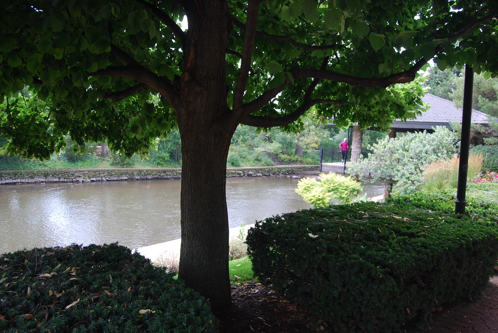 Naperville August 2009 116