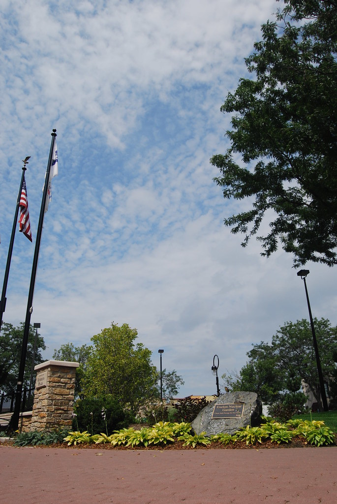 Naperville August 8th 2009 005