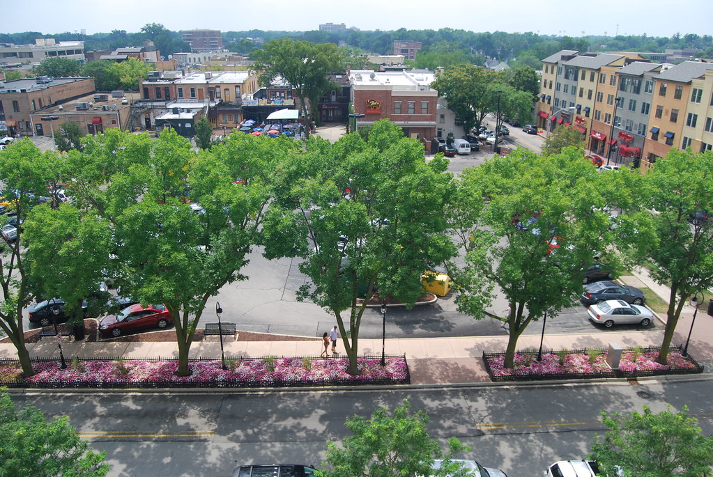 Naperville August 2009 004