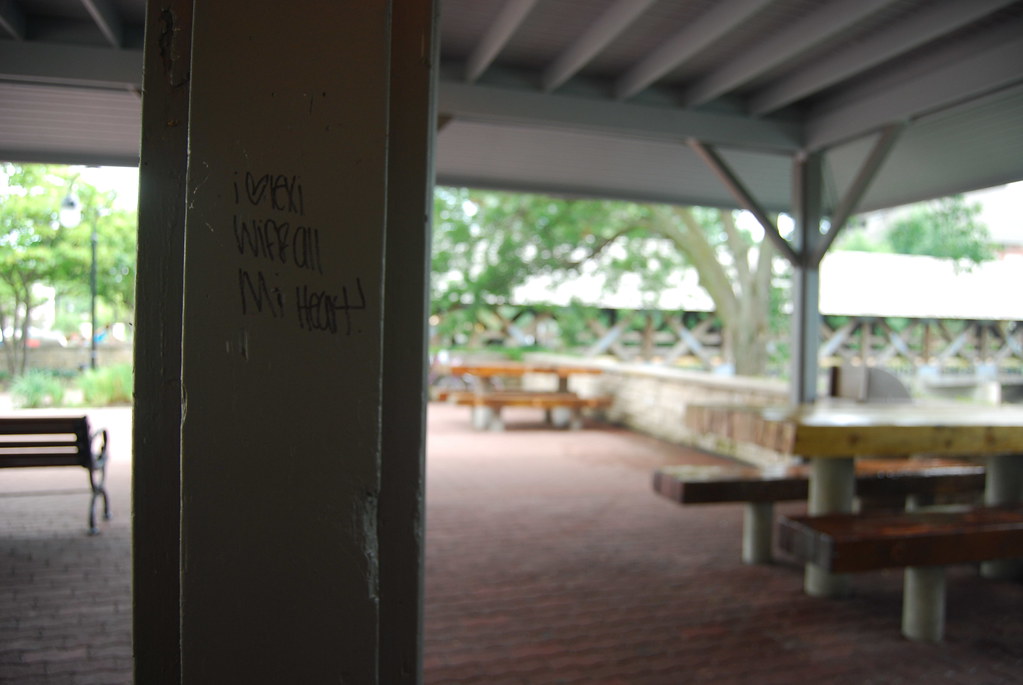 Naperville Graffiti August 2009 098